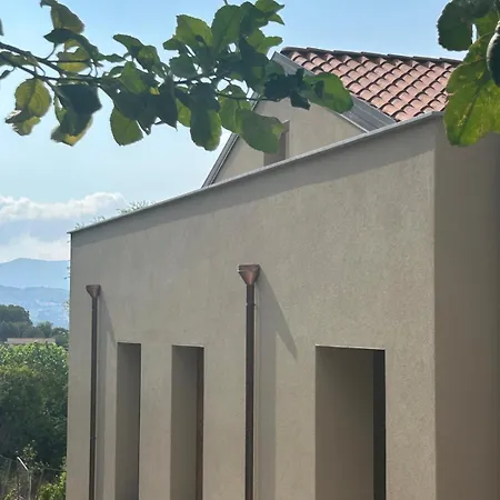 Ecoloft Radici *