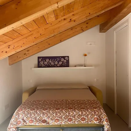 Ecoloft Radici