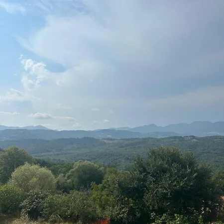 Ecoloft Radici